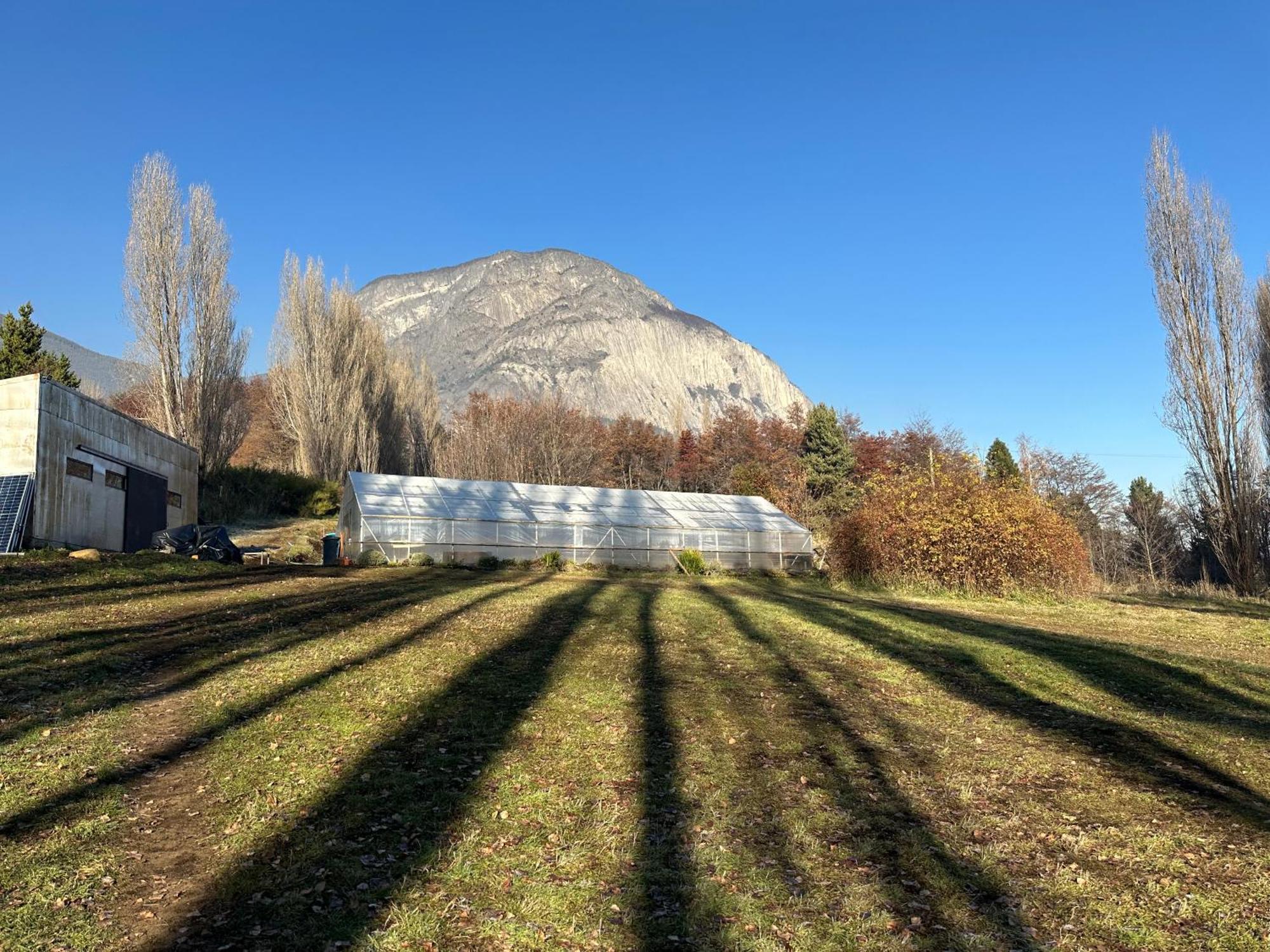 Hotel Patagonia House Coyhaique Dış mekan fotoğraf