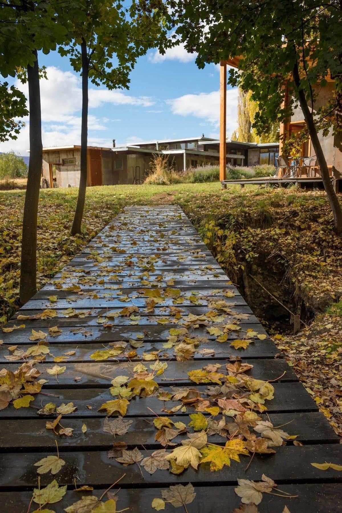 Hotel Patagonia House Coyhaique Dış mekan fotoğraf